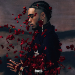 30厘米黑人高潮
