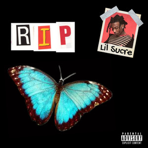 30厘米黑人高潮
