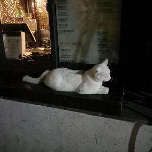 30厘米黑人高潮
