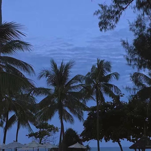 30厘米黑人高潮
